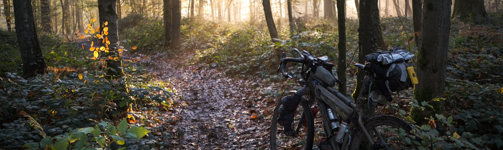 Santos Cross Lite in het bos