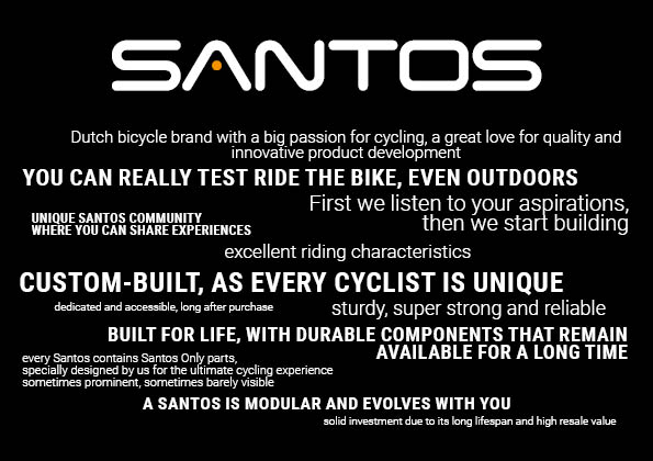 Santos core values