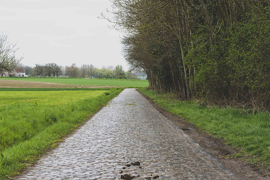Santos budget roubaix 4174