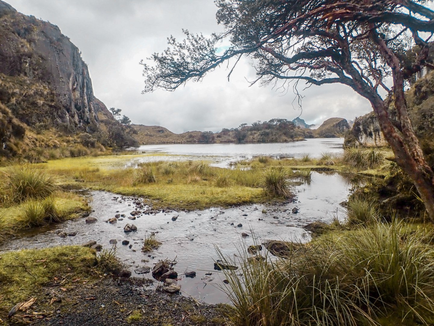2019 04 01 molleturo laguna torreadora 110 2 (Large)