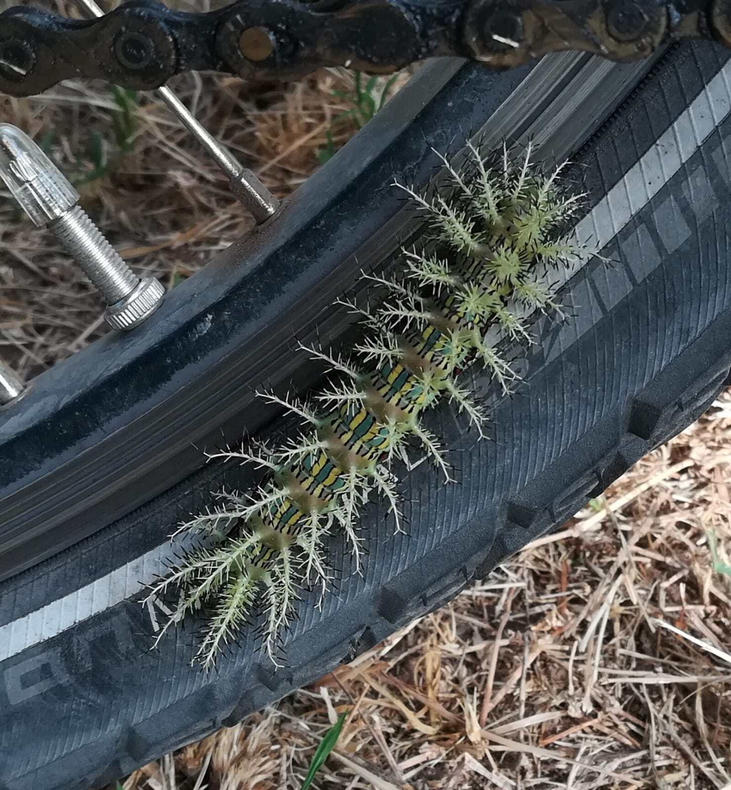 IMG 20190118 WA0005