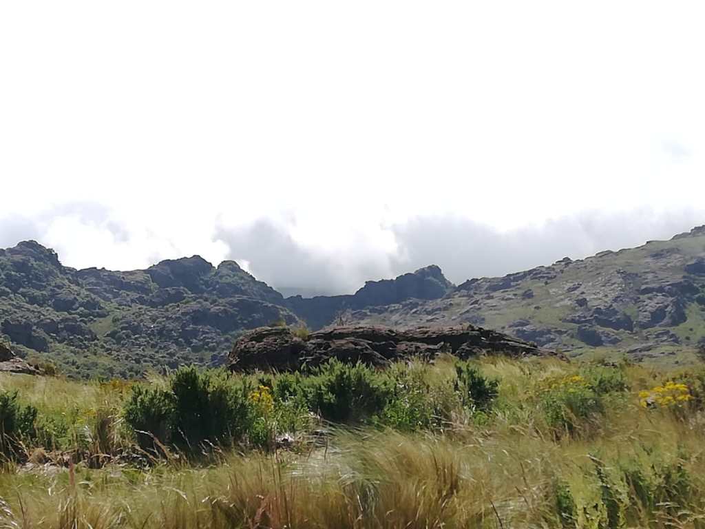IMG 20190128 WA0001