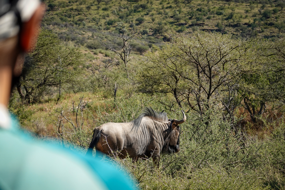 202507 Namibia 406