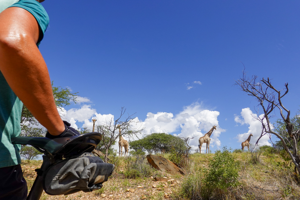 202602 Namibia 507