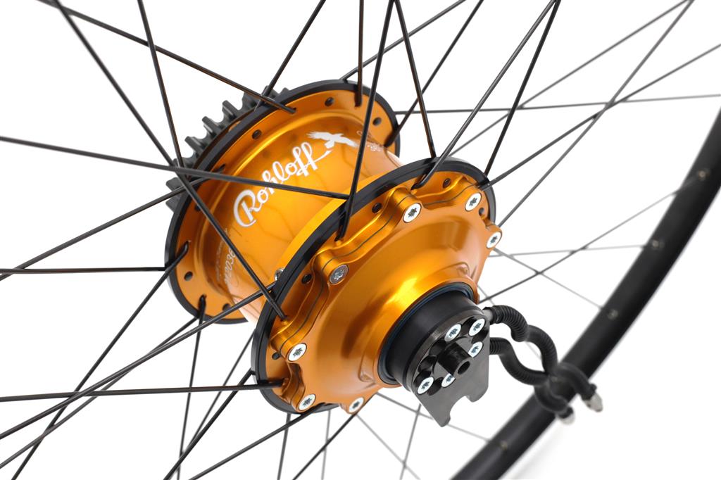 Borgringen voor Rohloff