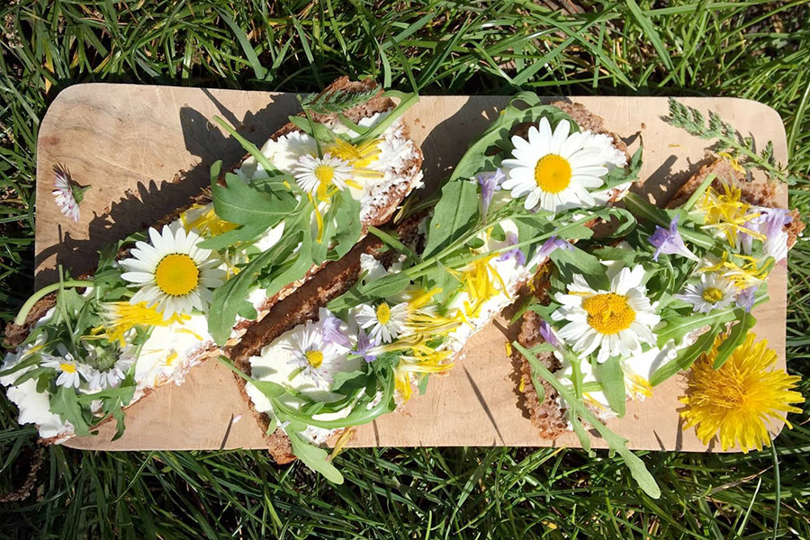 Wildplukken 6