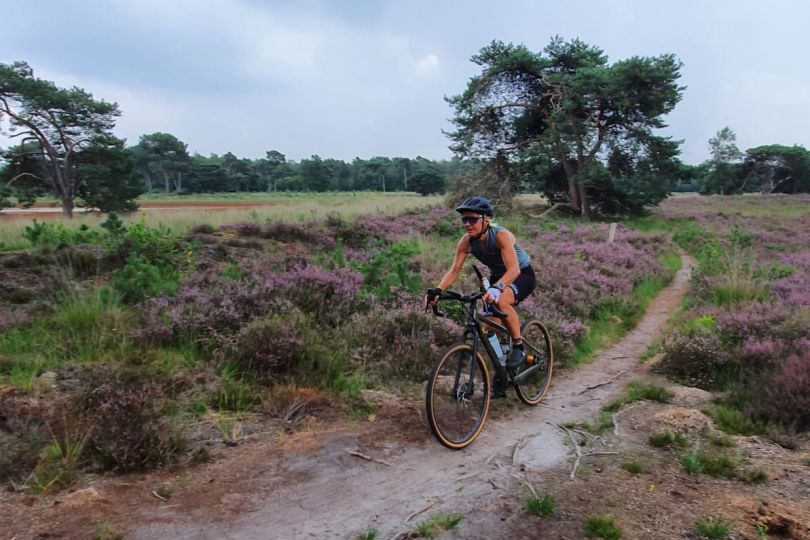Santos Cross Lite heide - Martine