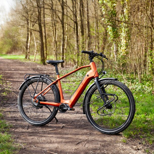 Krachtige E-bikes met véél opties.